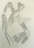 Bild1