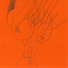 Bild1