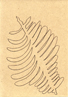 Bild1