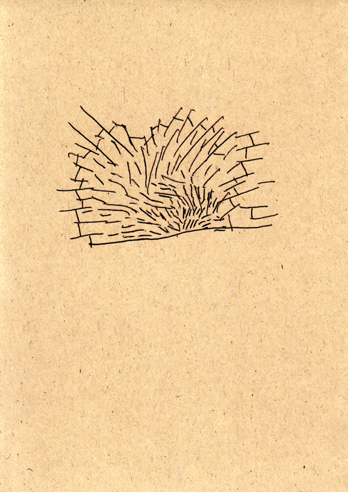 Bildtitel1