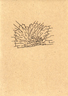 Bild1